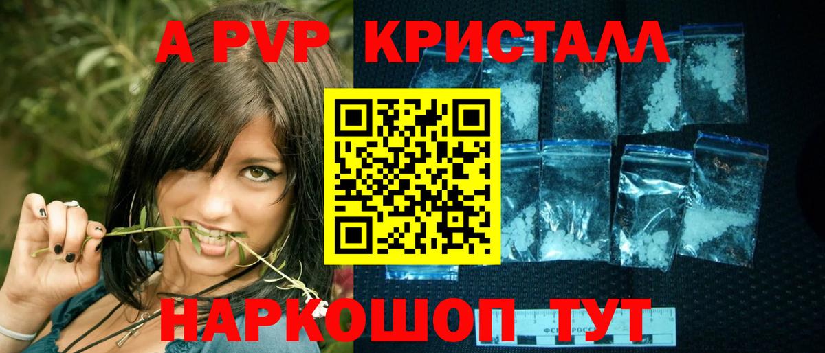 A-PVP СК КРИС Череповец