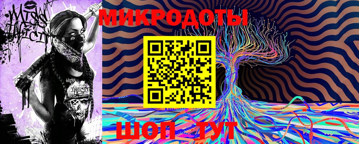 Псилоцибиновые грибы Cubensis Череповец